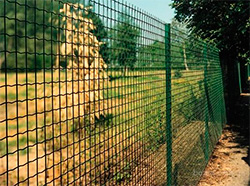 Забор из сварной рулонной сетки